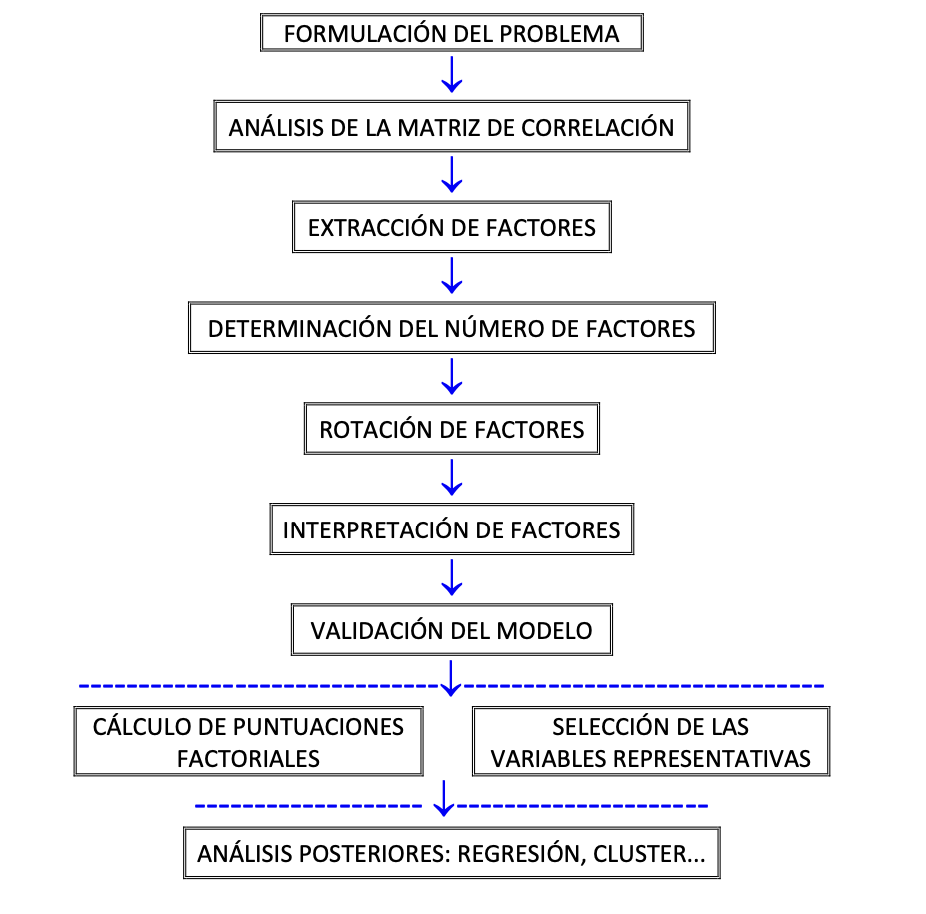 Procedimiento