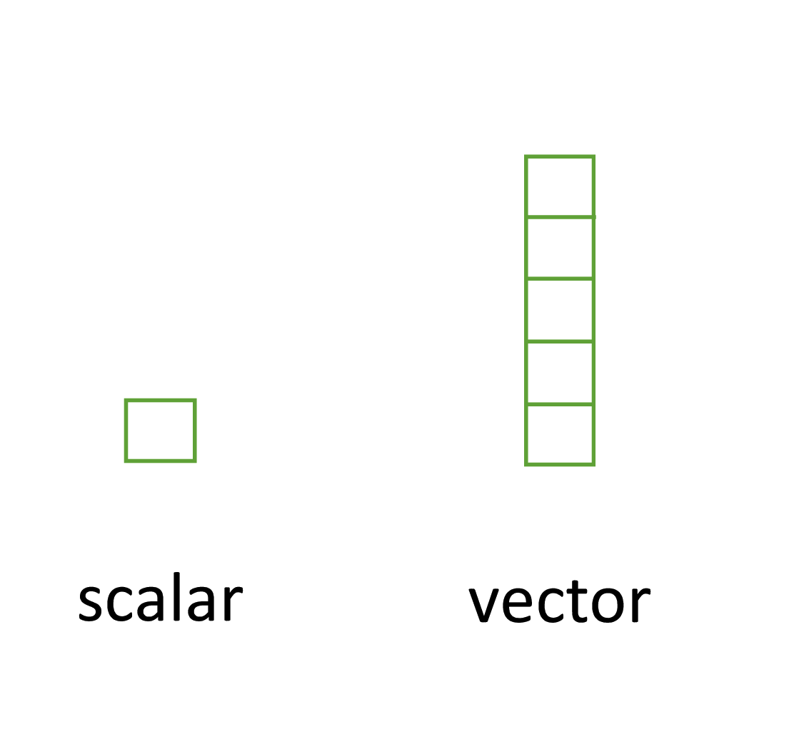 Vector